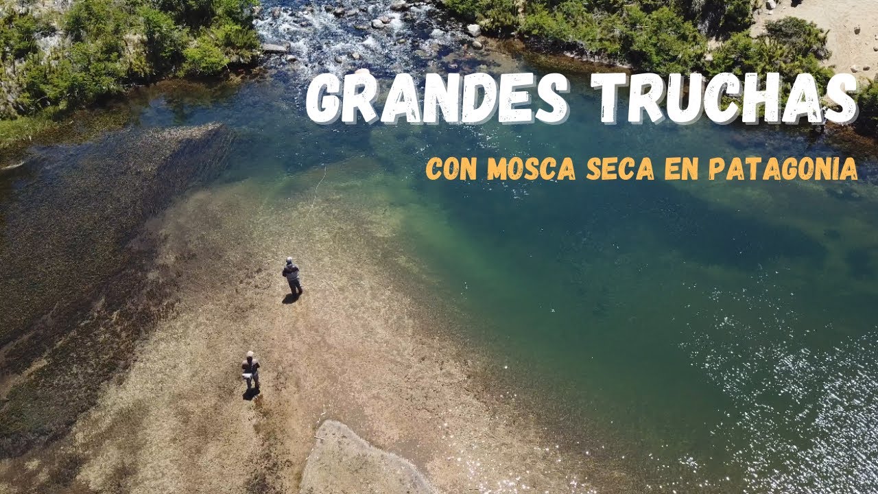 GRANDES TRUCHAS CON MOSCA SECA EN PATAGONIA