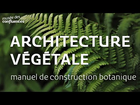 Architectures végétales : petit manuel de construction botanique