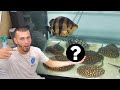 $100,000 FISH-TANK! HE HAD a SURPRISE for me!!