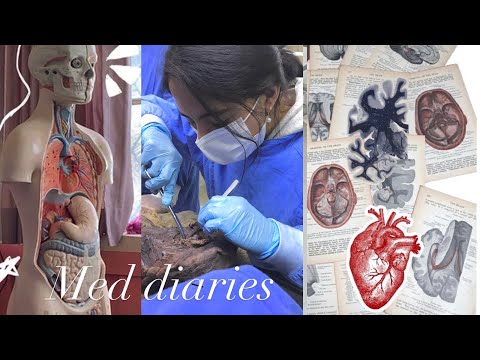 MED SCHOOL DIARIES: como es estudiar medicina en el IPN👩‍⚕️