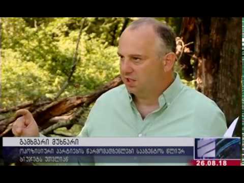 გიგა შუშანია – მუხნარის ტყე  me