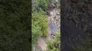 Celebrity #floodage Net Worth