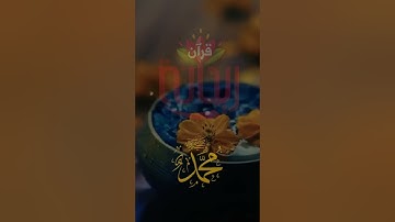 إن الله وملائكته يصلون على النبي.. #ناصر_القطامي #قرآن #تلاوات #تلاوات_خاشعة #ريحانة_قرآن #رمضان