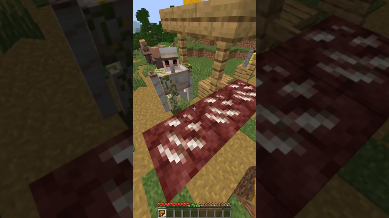 This Iron golem is not letting me summon nether quartz ore golem 