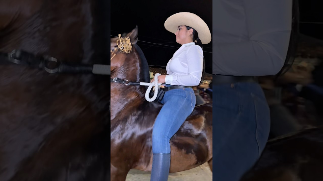 A lovely cowgirl skillfully rides her horse bareback with mastery.