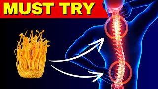 You Must Try This Mushroom Benefits of Cordyceps Mushroom (Advice of the Ancients)