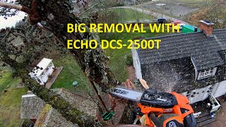 Arborist tree climbing and rigging down big tree | ECHO & STIHL saws by patkarlsson 7,769 views 1 year ago 20 minutes