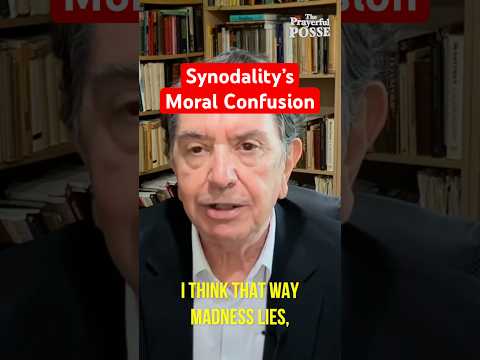 The Danger of Synodality: "That Way Madness Lies" | Prayerful Posse