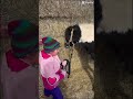 Just a girl and her pony 💗 #horsegirl #farmlife #horses