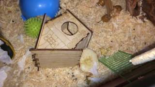 Инвентарь крыс/клетка тур Инвентарь крыс/клетка тур