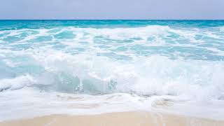 St. Ann Church Live Stream Mass - Notre Dame De La Mer in Wildwood, NJ - 10:50 AM 03/08/2026