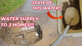 2 supply pipes, 3 properties, and ONE HIDDEN water leak!