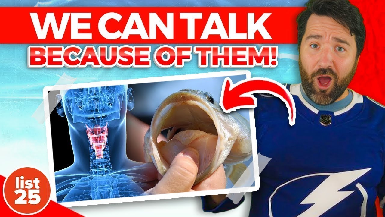 25 Crazy Facts You Won't Believe Are True - YouTube