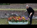 Grow A Garden In Real Life!