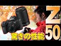 【撮ってきた】Nikon Z50で望遠レンズ縛り!公園での紅葉の撮り方ポイント教えます【オート先生】