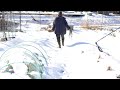 自給暮らしvlog｜雪の日はゆっくりおうちでごはん｜雪の中でも自家製野菜の収穫をします！｜#58