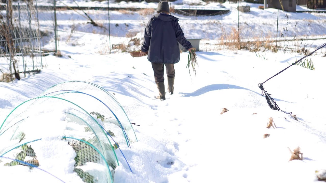 自給暮らしvlog｜雪の日はゆっくりおうちでごはん｜雪の中でも自家製野菜の収穫をします！｜#58