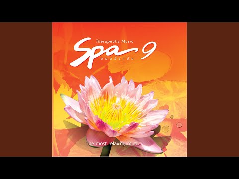 นิก กอไผ่ - ลำปางใหญ่