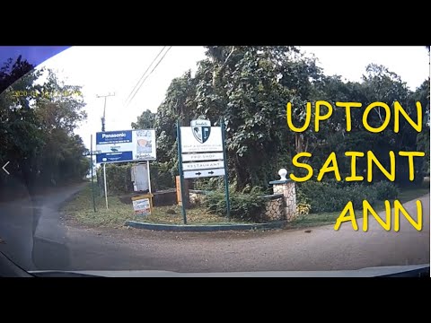 Travelling from White River to Upton in Saint Ann