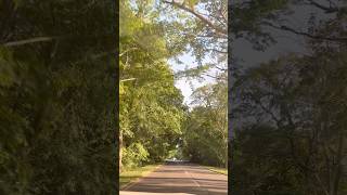 Canciones viejas #vallenato#rafaelorozco#homenaje#paisajes#belleza#carretera#life#colombia