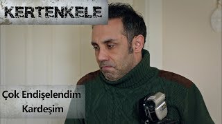Çok endişelendim kardeşim - Kertenkele