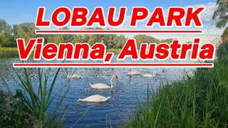 Nature Park Lobau, Vienna Austria
