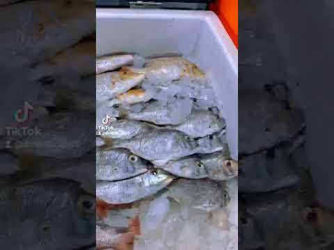 مطعم المزين للأسماك بالمدينه المنوره احمد 966501612901