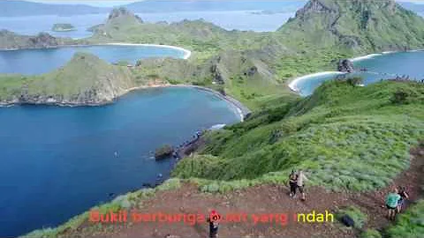 Bukit berbunga Uci Bing Slamet