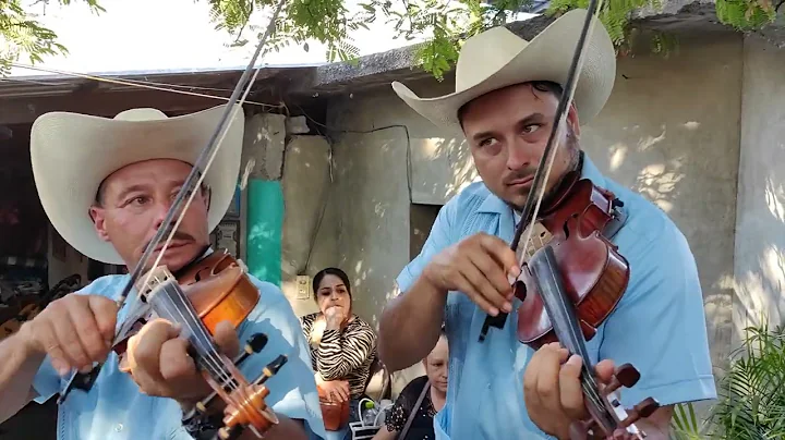 " La Parranda" Arpa Juan Perez Morfin con Andres A...