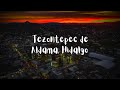 Video de Tezontepec de Aldama