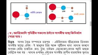 সাগৰ মহাসাগৰ | Class 8 Social Science Chapter 5 answer (SCERT) | Assamese Medium
