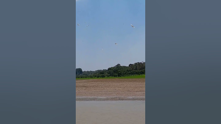 Seca do Rio Amazonas manaquiri