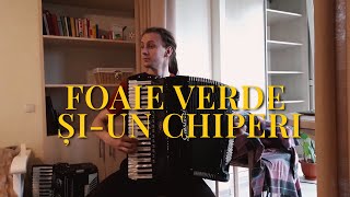 Video thumbnail of "Foaie verde și-un chiperi (În gară la Leordeni) Accordion"