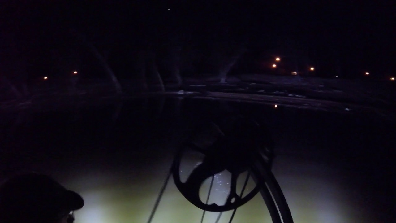 Bowfishing in Oklahoma! YouTube