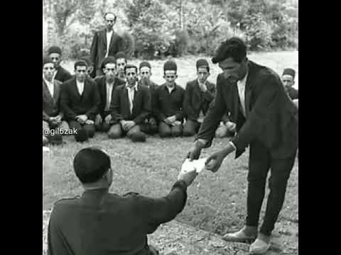ناصر مسعودى آهوى لب تشنه