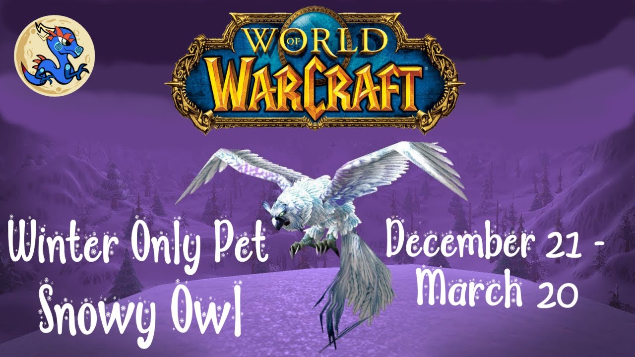 Snowy Owl - Winter Only Pet - YouTube