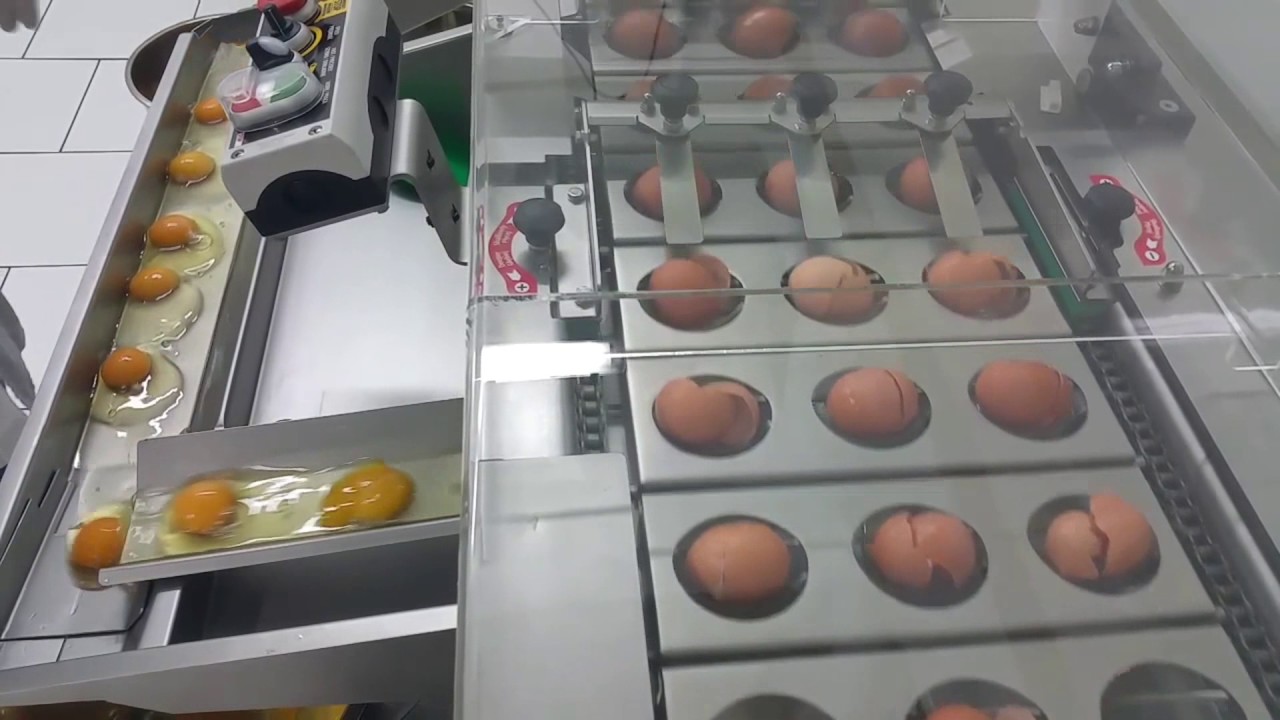 Three row egg breaker RZ—3, Wybijarka trójrzędowa RZ—3 by OVOTECH