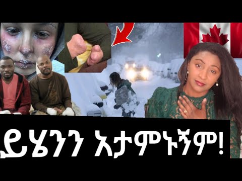 ቪዲዮ: በሰሜን ጎዋ ውስጥ ምርጥ የባህር ዳርቻዎች-አጠቃላይ እይታ