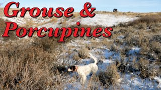 Grouse & Porcupines (January 14, 2024)