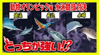 【どっちが強い】動物たちの熱き戦いが始まる！競泳！飛び込み！水球！もしも動物だけでオリンピックを開催したらどうなる!?