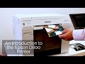 Introduction to the Epson Surelab D800 Printer