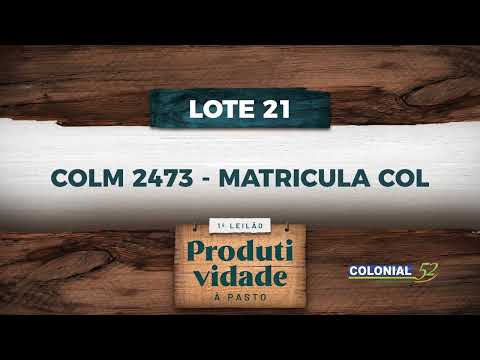 LOTE 21   COLM 2473