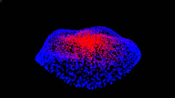 Unity particles to mesh