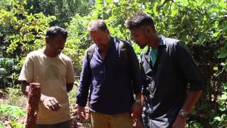 Creating compost pathways that also act as a mulch - Compost pathways