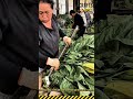 Traditional Tobacco Harvesting and Modern Curing Process #dailywork