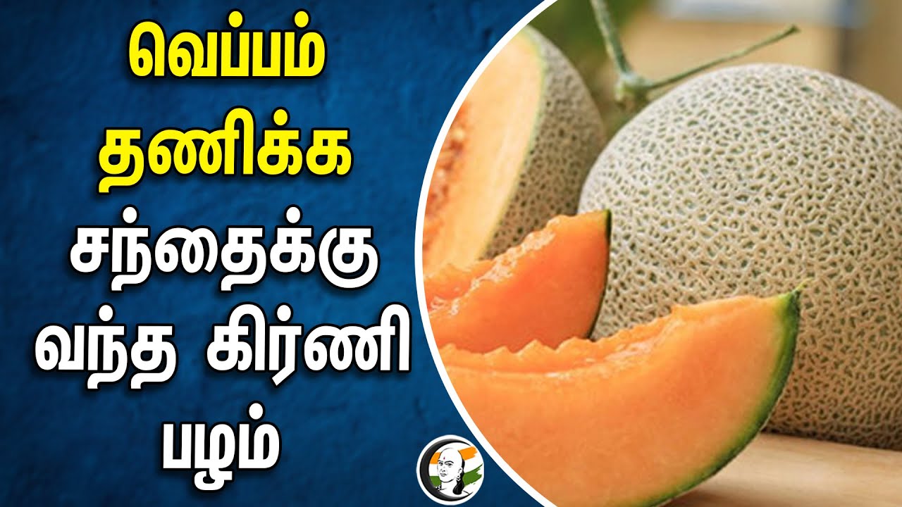வெப்பம் தணிக்க சந்தைக்கு வந்த Kirni Fruit | Summer Heat | Chennai | Vellore