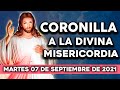Coronilla a la Divina Misericordia de Hoy Martes 07 de Septiembre del 2021 | Yo Amo Mi Fe Católica