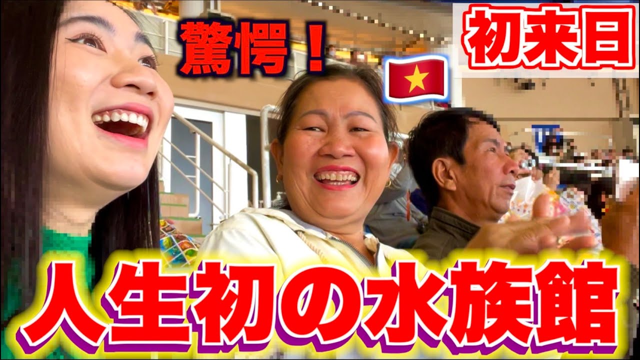 【親孝行】ベトナムの田舎しか知らない両親の反応が面白すぎた！