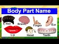 New 3D Learn Body Part for Kids With Spelling and Images | Human Body Parts Names {Update July 2020}