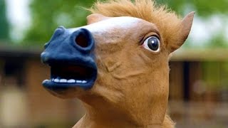 Horse Penis Joke Gets Man Legal Trouble In Kyrgyzstan